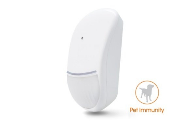 Poza cu Detector PIR si geam spart