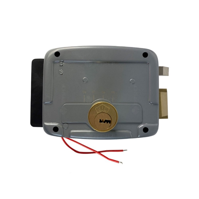 Poza cu Yala aplicata 1913-S