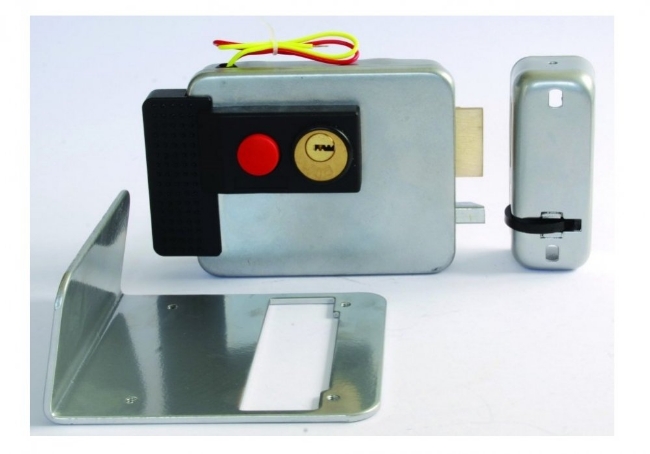 Poza cu Yala aplicata 1913-S